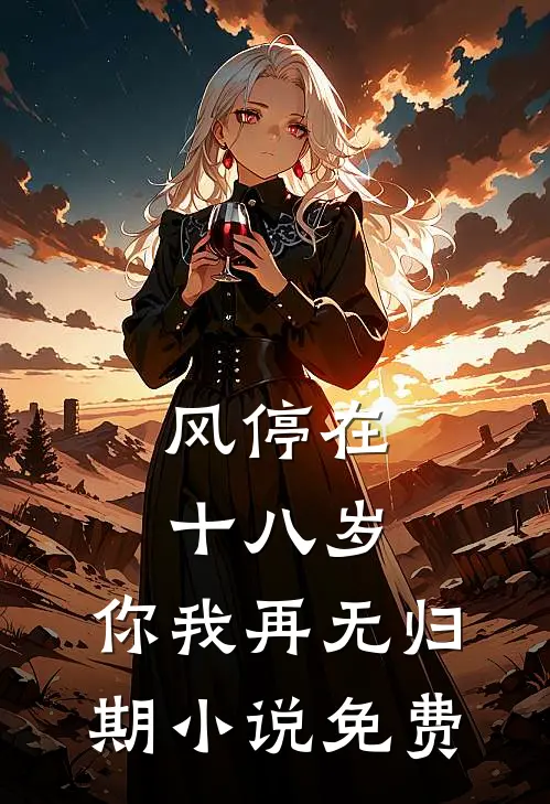 风停在十八岁，你我再无归期小说免费