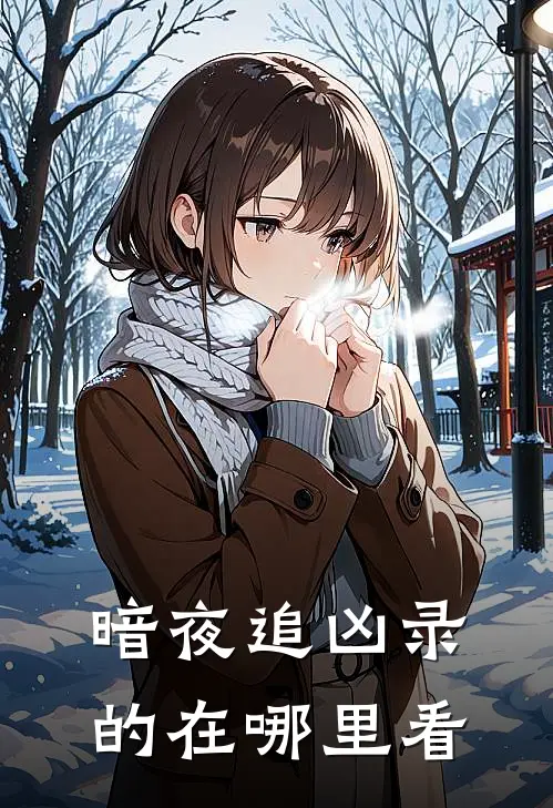 暗夜追凶录的在哪里看