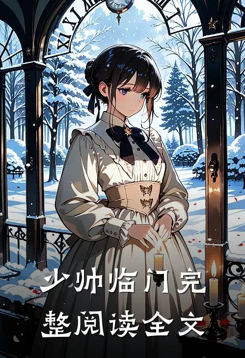 少帅临门完整阅读全文