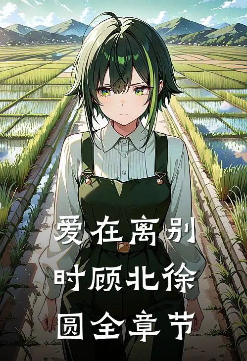 爱在离别时顾北徐圆全章节