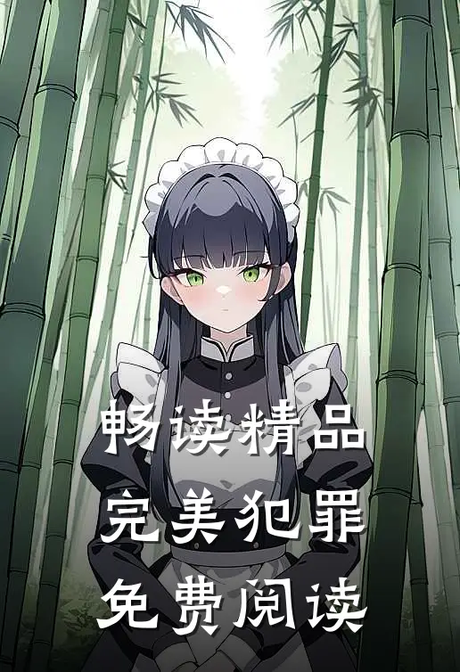 畅读精品完美犯罪免费阅读