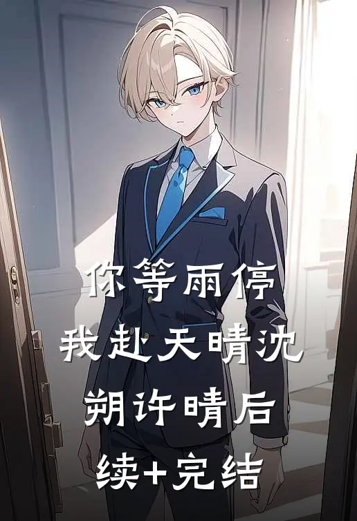 你等雨停，我赴天晴沈朔许晴后续+完结