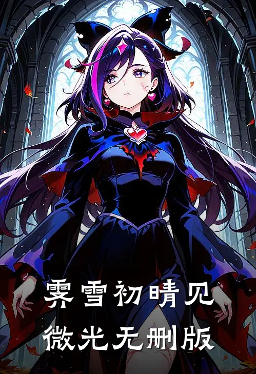 霁雪初晴见微光无删版