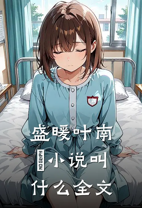 盛暖叶南烆小说叫什么全文