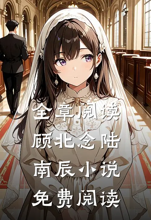 全章阅读顾北念陆南辰小说免费阅读