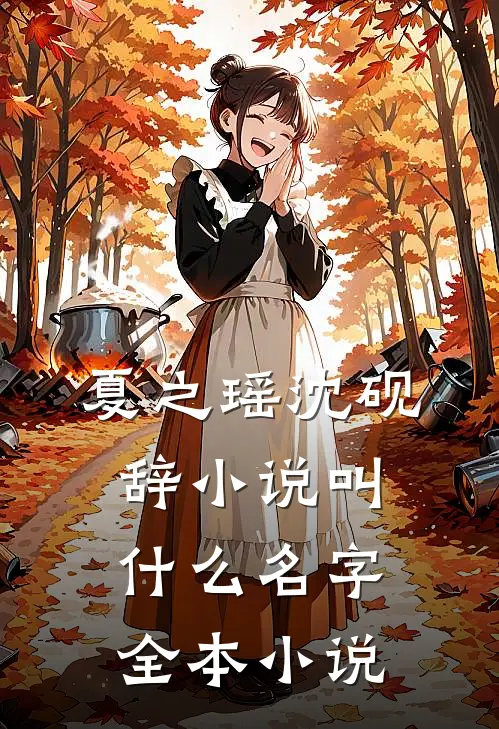 夏之瑶沈砚辞小说叫什么名字全本小说