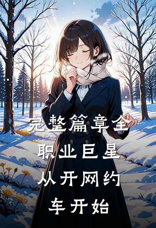 完整篇章全职业巨星：从开网约车开始