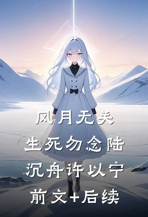 风月无关，生死勿念陆沉舟许以宁前文+后续