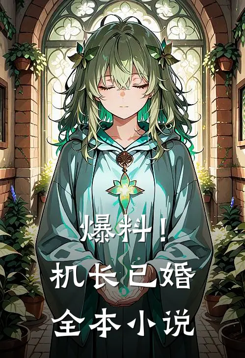爆料！机长已婚全本小说
