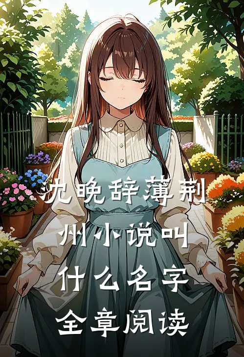 沈晚辞薄荆州小说叫什么名字全章阅读