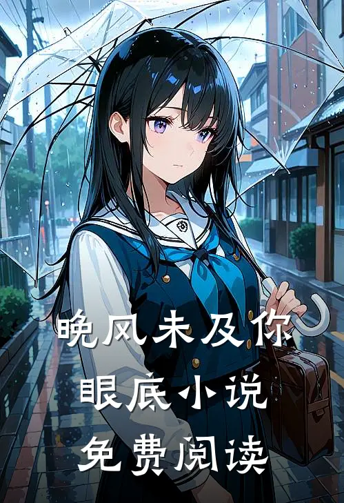 晚风未及你眼底小说免费阅读