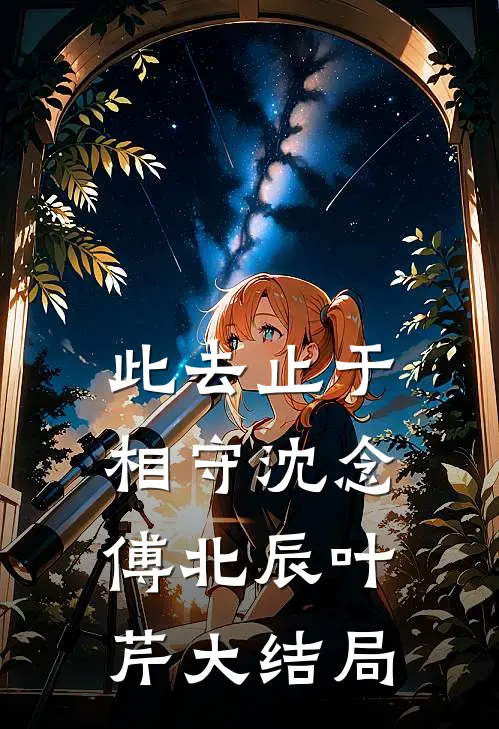 此去止于相守沈念傅北辰叶芹大结局