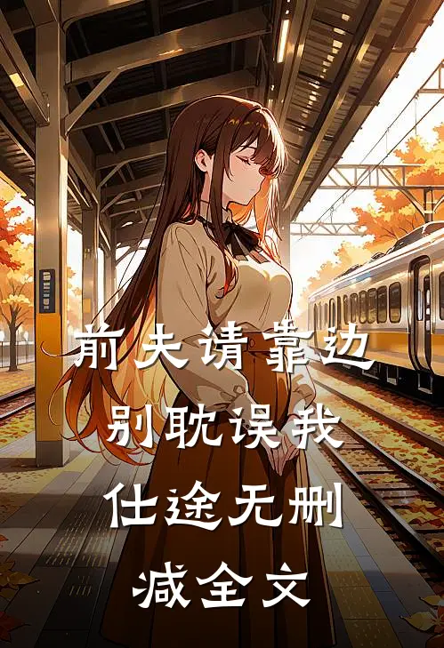 前夫请靠边，别耽误我仕途无删减全文
