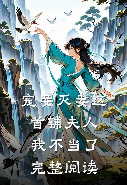宠妾灭妻这首辅夫人我不当了完整阅读
