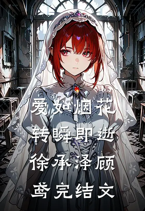 爱如烟花，转瞬即逝徐承泽顾鸢完结文