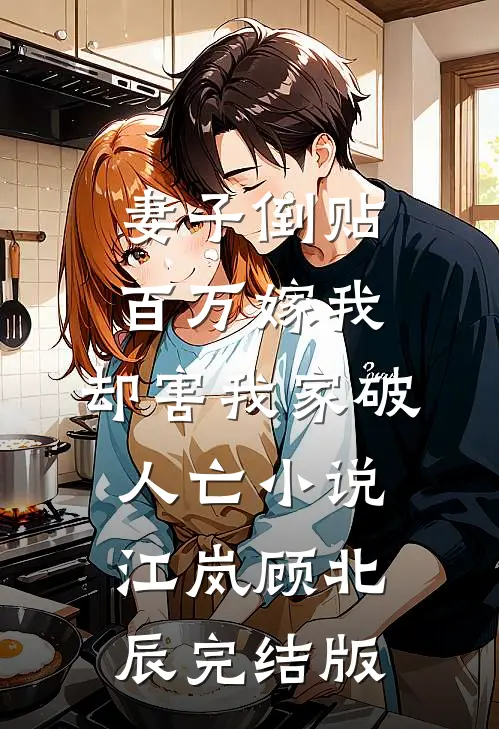 妻子倒贴百万嫁我，却害我家破人亡小说江岚顾北辰完结版