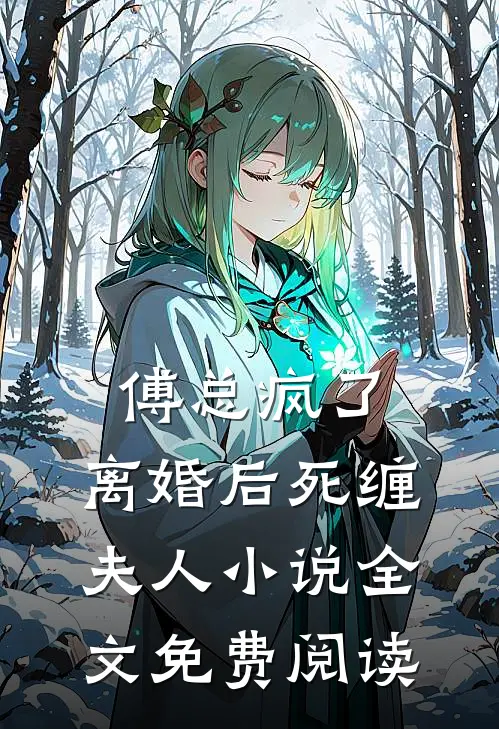 傅总疯了，离婚后死缠夫人小说全文免费阅读