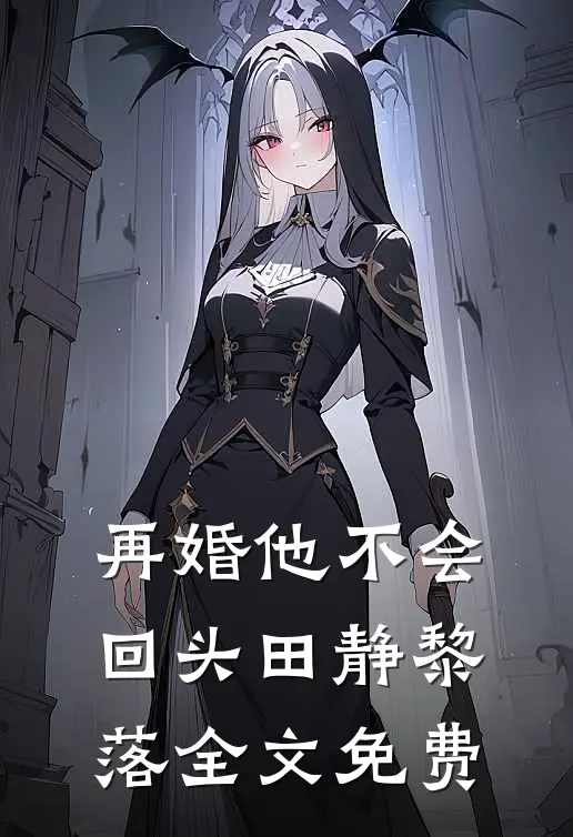 再婚-他不会回头田静黎落全文免费