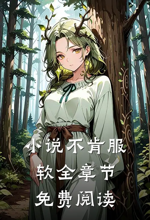 小说不肯服软全章节免费阅读