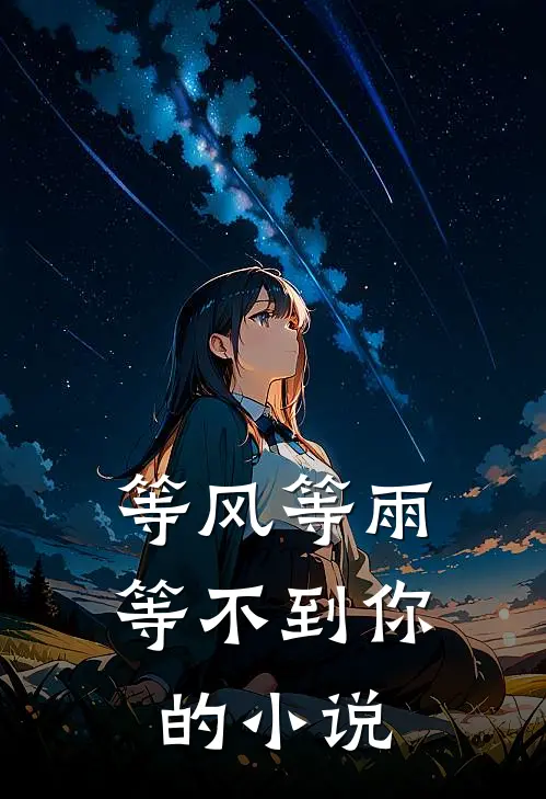 等风等雨等不到你的小说