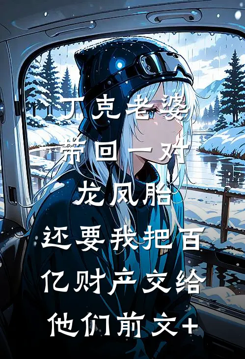 丁克老婆带回一对龙凤胎，还要我把百亿财产交给他们前文+
