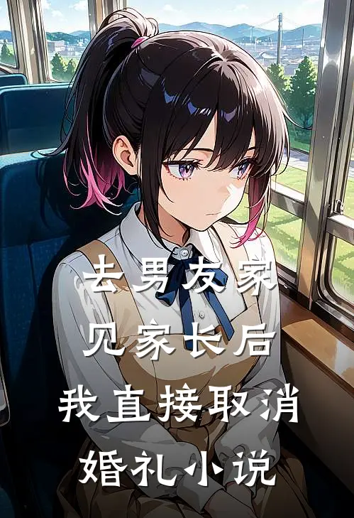 去男友家见家长后，我直接取消婚礼小说