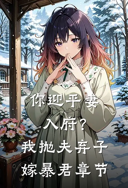 你迎平妻入府？我抛夫弃子嫁暴君章节
