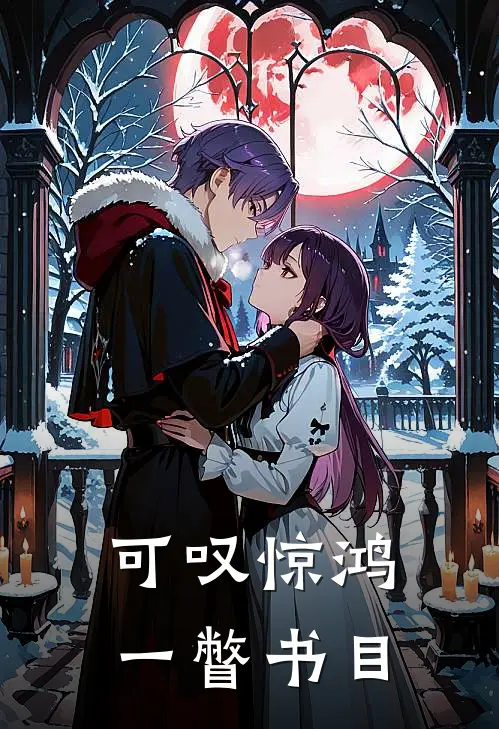 可叹惊鸿一瞥书目