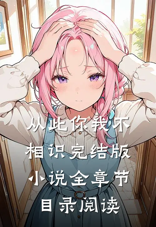 从此你我不相识完结版小说全章节目录阅读
