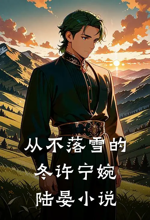 从不落雪的冬许宁婉陆晏小说