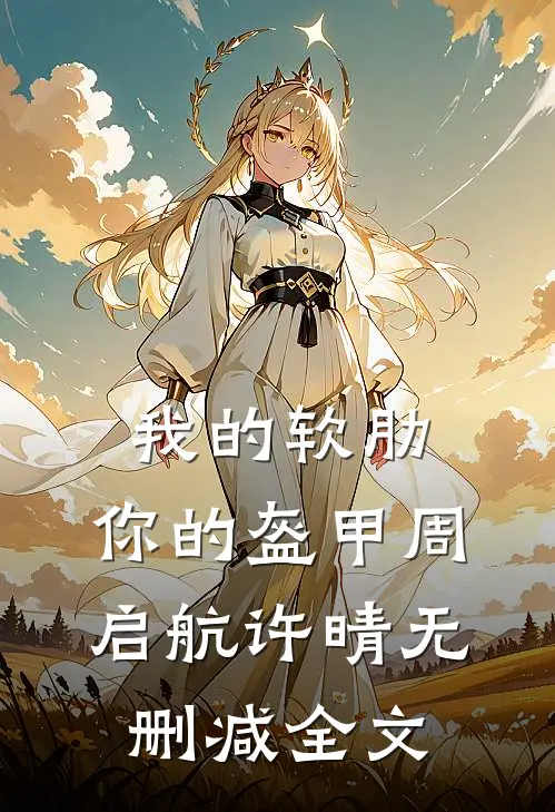 我的软肋，你的盔甲周启航许晴无删减全文