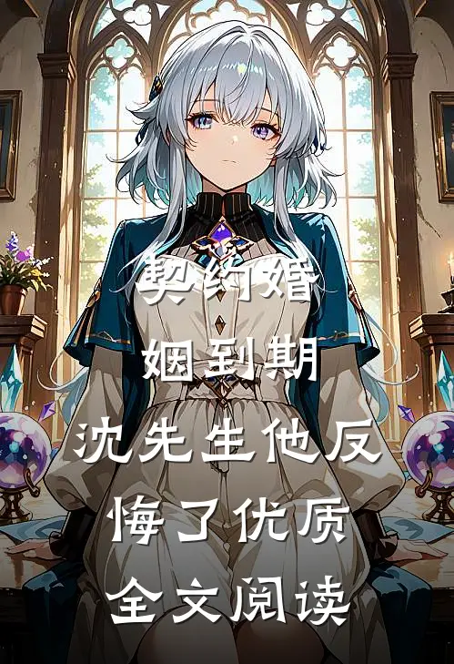 契约婚姻到期，沈先生他反悔了优质全文阅读