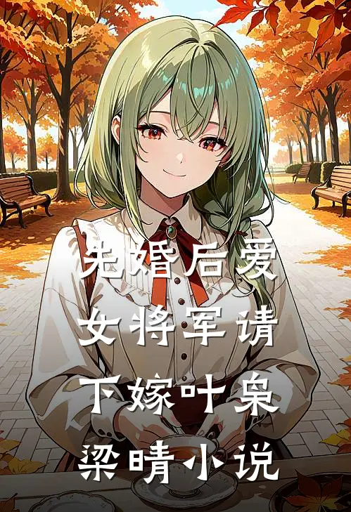 先婚后爱，女将军请下嫁叶枭梁晴小说