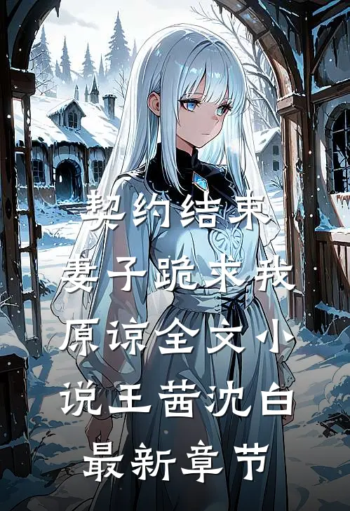 契约结束，妻子跪求我原谅全文小说王茜沈白最新章节
