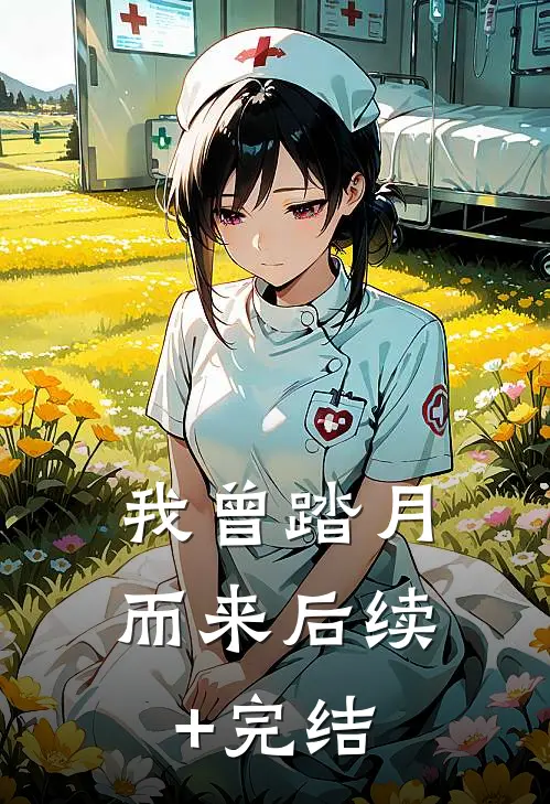 我曾踏月而来后续+完结