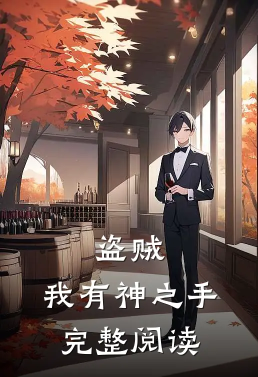 盗贼：我有神之手完整阅读