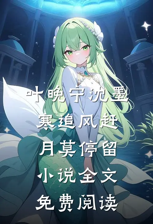 叶晚宁沈墨寒追风赶月莫停留小说全文免费阅读