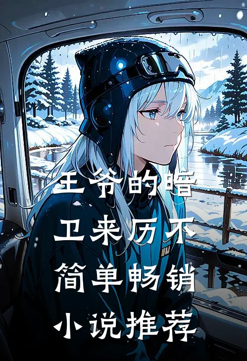 王爷的暗卫来历不简单畅销小说推荐