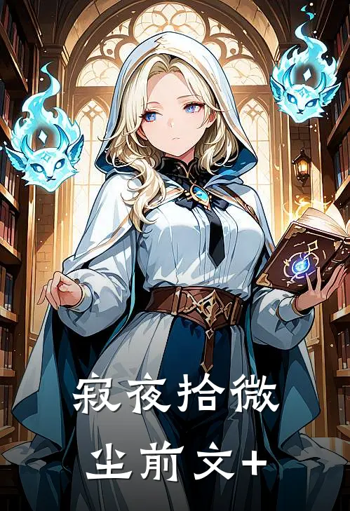 寂夜拾微尘前文+