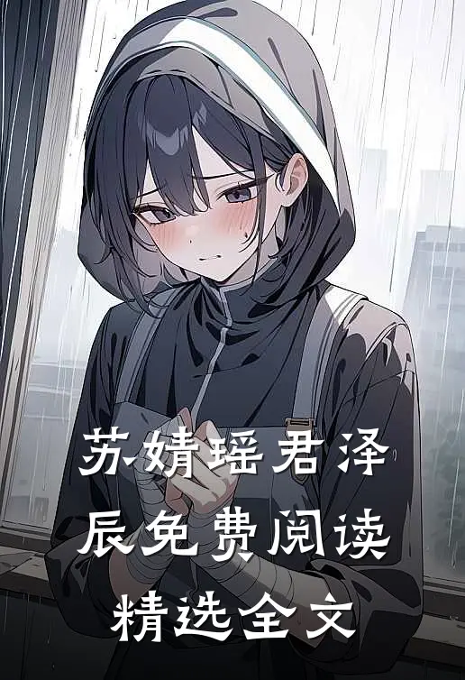 苏婧瑶君泽辰免费阅读精选全文