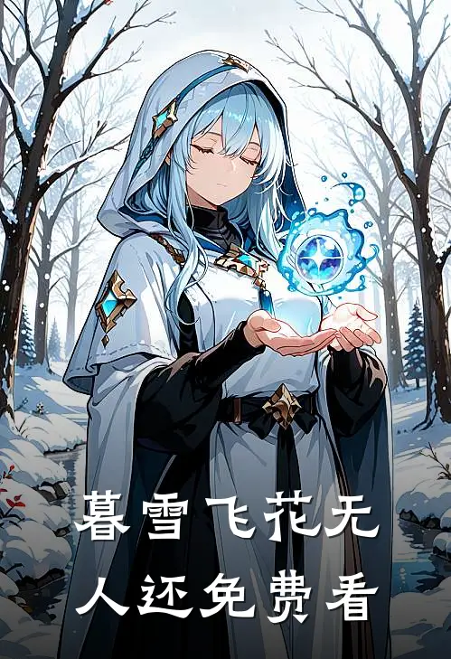 暮雪飞花无人还免费看