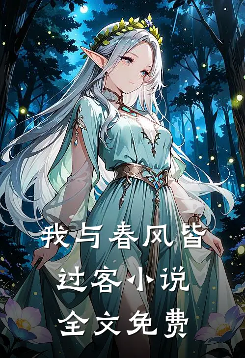 我与春风皆过客小说全文免费