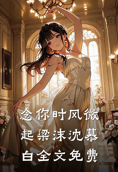 念你时风微起梁沫沈慕白全文免费