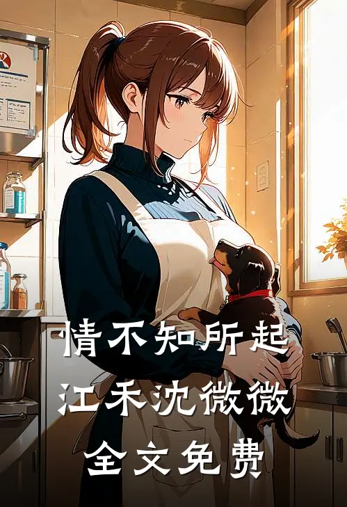情不知所起江禾沈微微全文免费