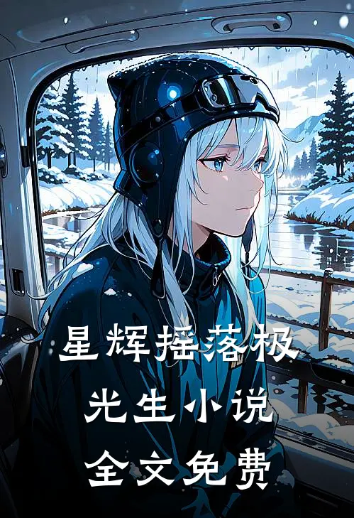 星辉摇落极光生小说全文免费