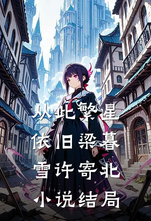 从此繁星依旧梁暮雪许寄北小说结局