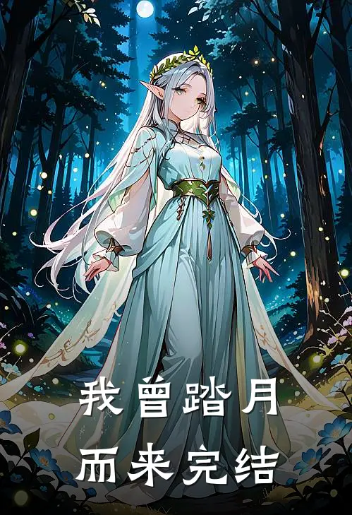 我曾踏月而来完结
