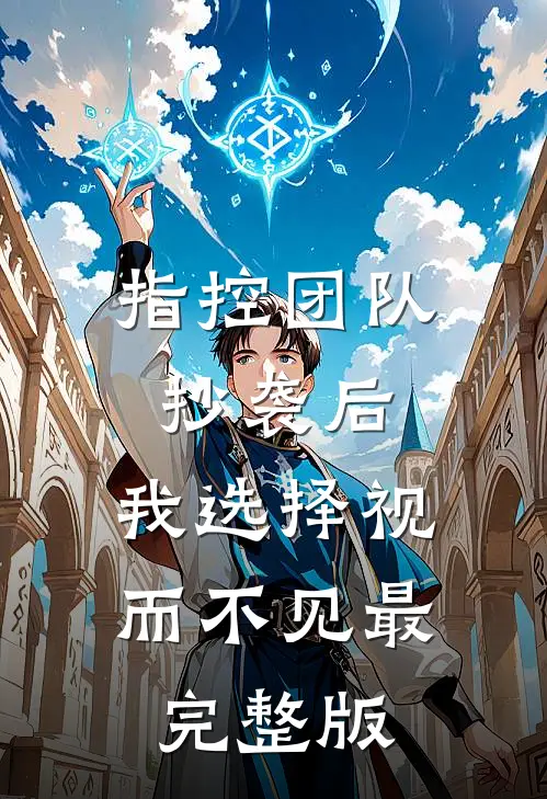 指控团队抄袭后，我选择视而不见最完整版