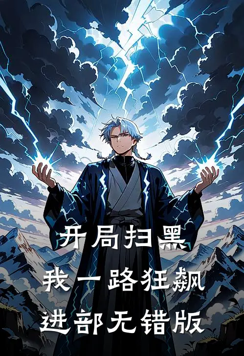 开局扫黑，我一路狂飙进部无错版