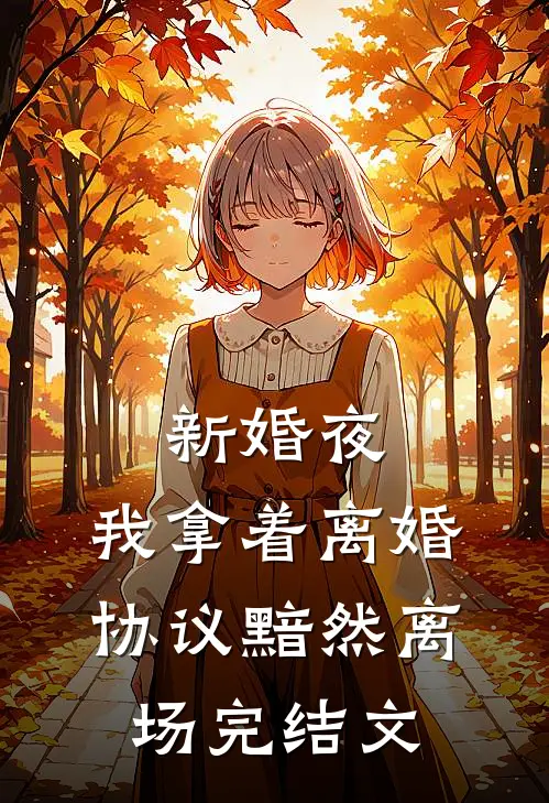 新婚夜，我拿着离婚协议黯然离场完结文